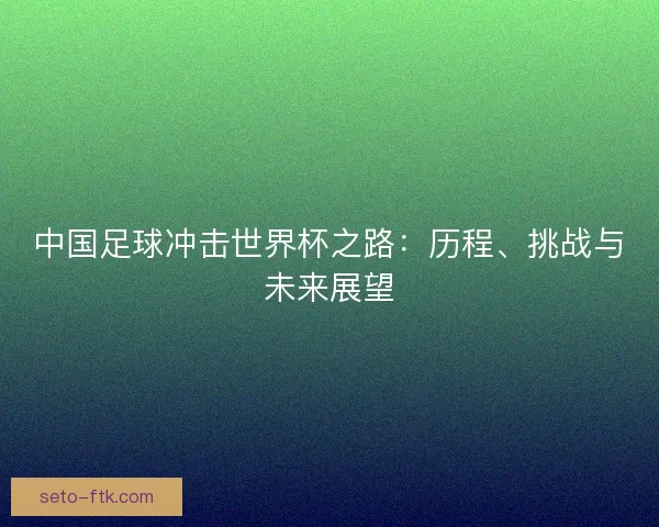 中国足球冲击世界杯之路：历程、挑战与未来展望