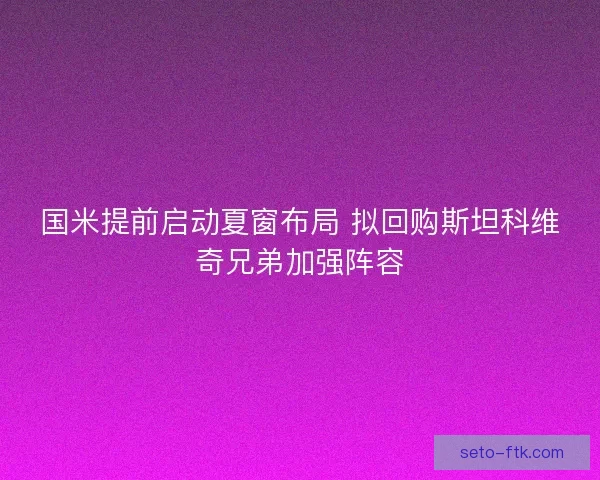 国米提前启动夏窗布局 拟回购斯坦科维奇兄弟加强阵容