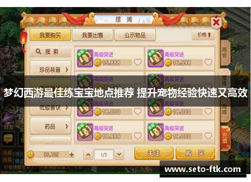 梦幻西游最佳练宝宝地点推荐 提升宠物经验快速又高效